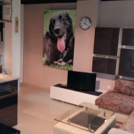 Апартамент Вини Appartement Sozopol